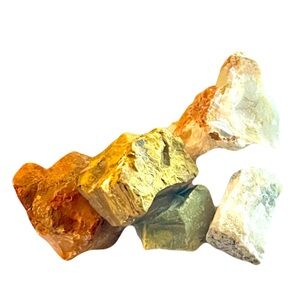 New Petrified Wood Agate Olive Opal Free Form Specimen Chunk 5 Piece 44.9g